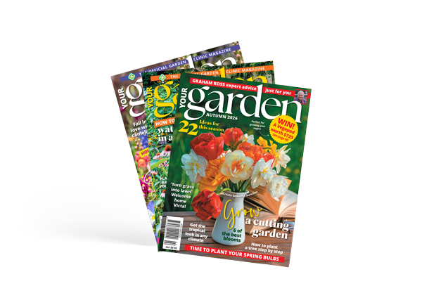 Subscribe to YOUR GARDEN magazine.