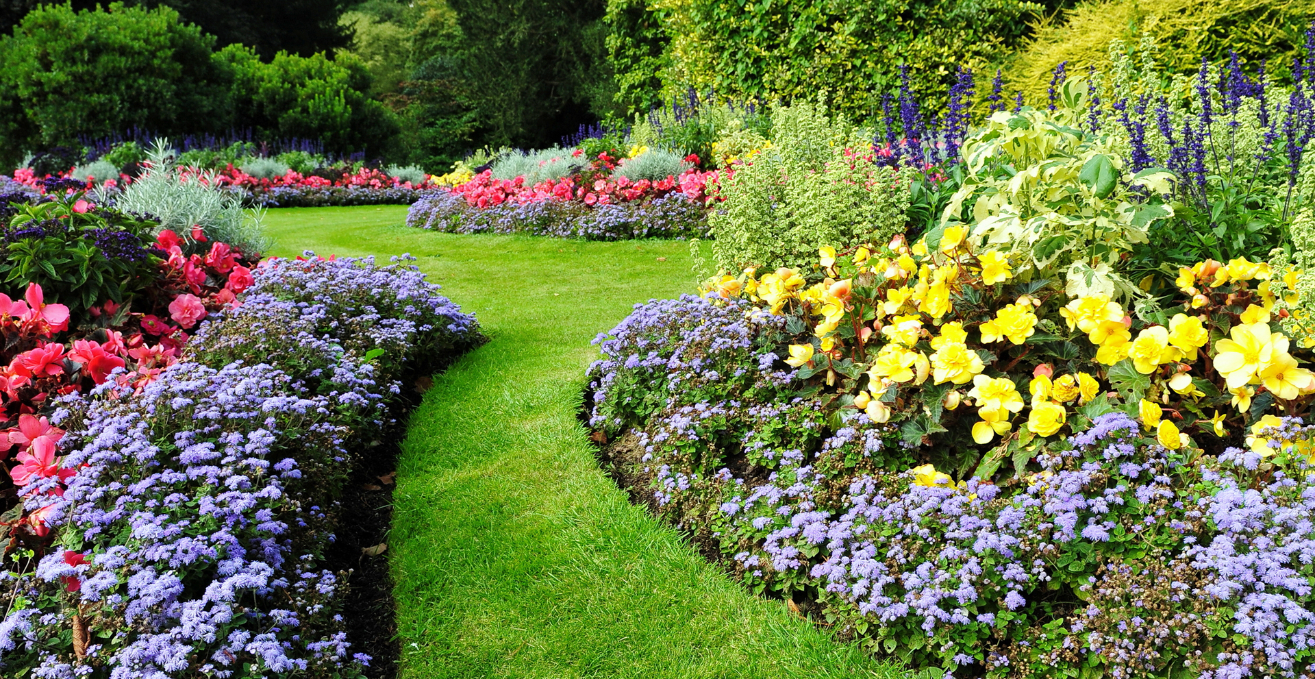 Feed my Flowers Pack