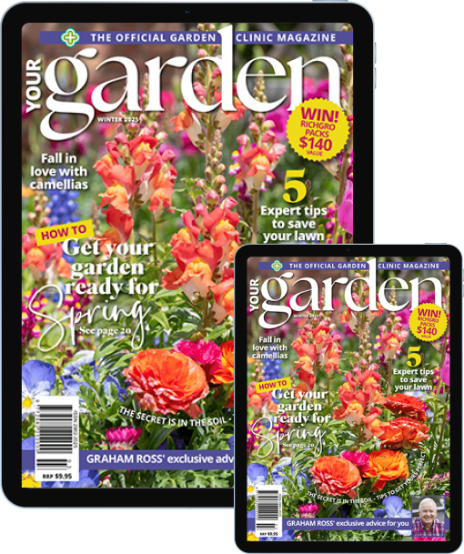 Exclusive Subscription Offer