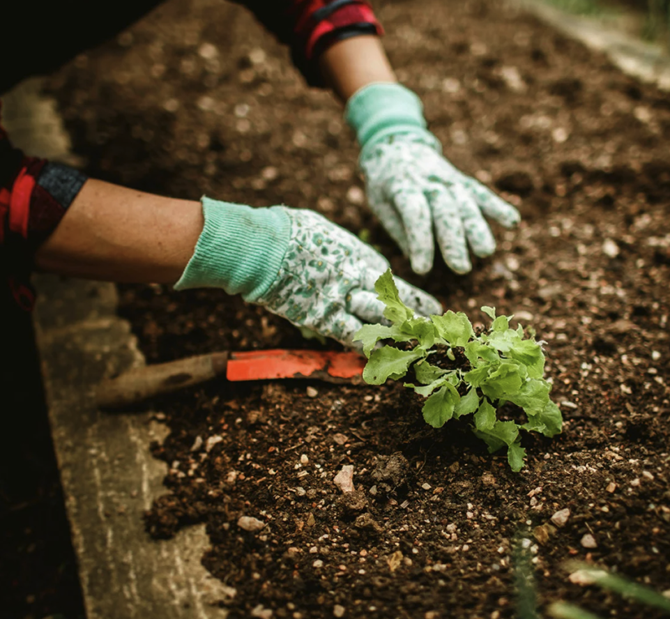 Every gardening question answered. Expert advice starts here.