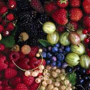 Berries