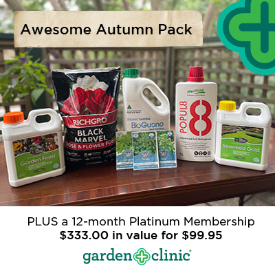 SOLD OUT - Our Awesome Autumn Pack