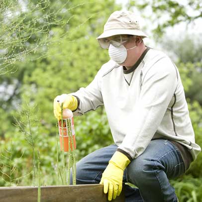 Federal Gov authority to de-register common home-garden insecticides containing Chlorpyrifos