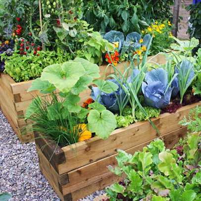 Kitchen Garden Summer