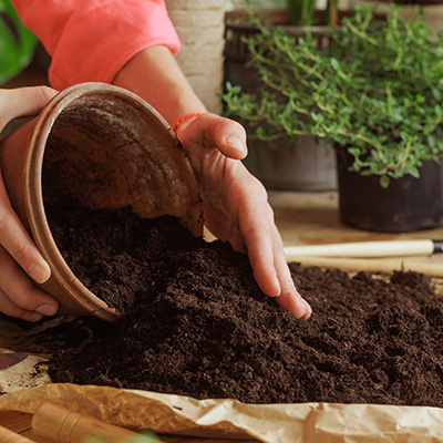 Boost your soil