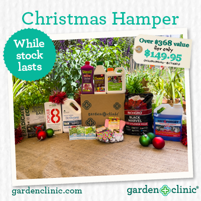 Our Famous Christmas Hamper is back!!!