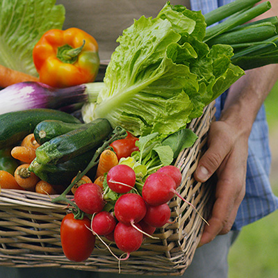 Bumper Crop