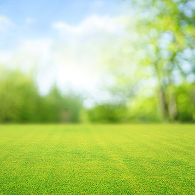 Love your Lawn Pack