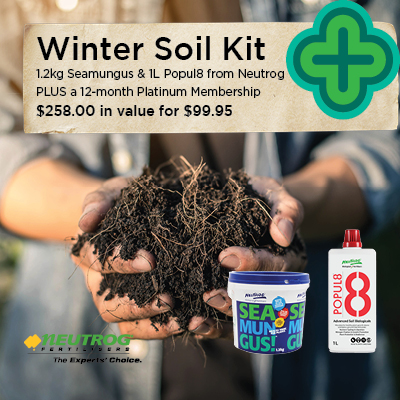 Winter Soil Kit