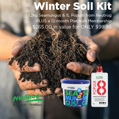 Winter Soil Kit