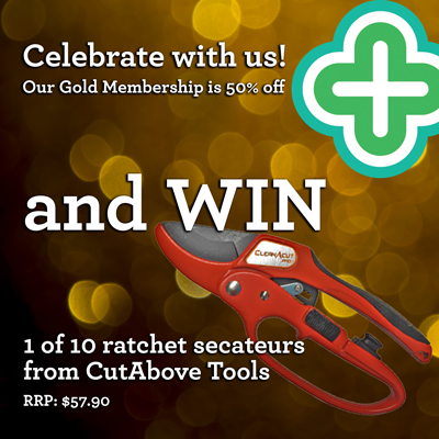 Celebrate our birthday with us!
