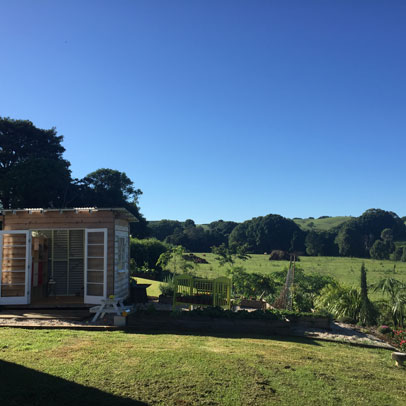 In my Kitchen Garden: Bangalow NSW