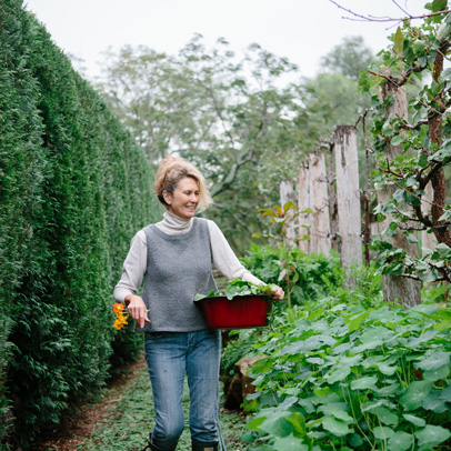 Mickey's Kitchen Garden