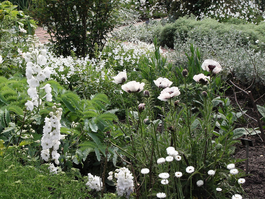 White garden discount