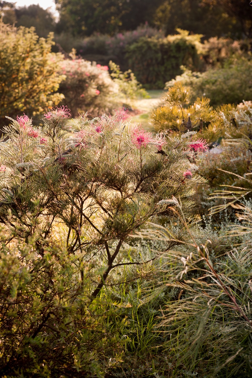 Visit Boongala Native Gardens