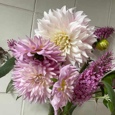 Star of the Season: the flamboyant dahlia.