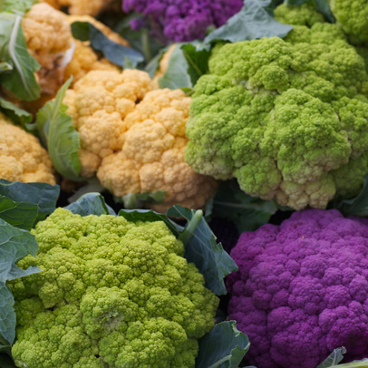 In the Veggie Patch: It’s time to harvest cauliflower