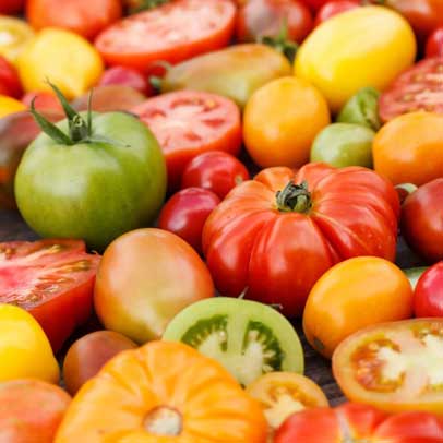 In the Vegie Patch: Time to sow tomatoes