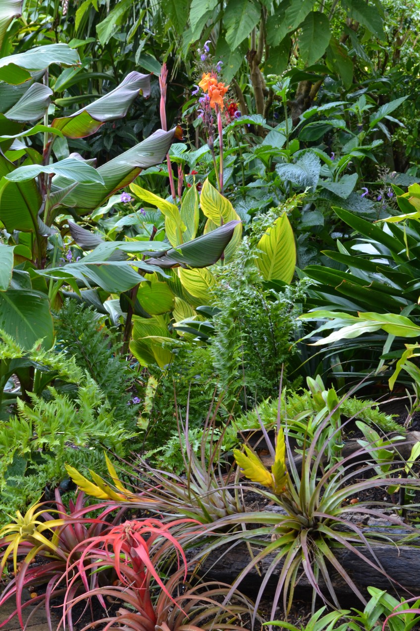 How to: garden under trees