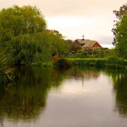 In the Garden: Cruden Farm