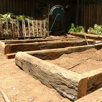 5 steps to starting a veggie patch from scratch