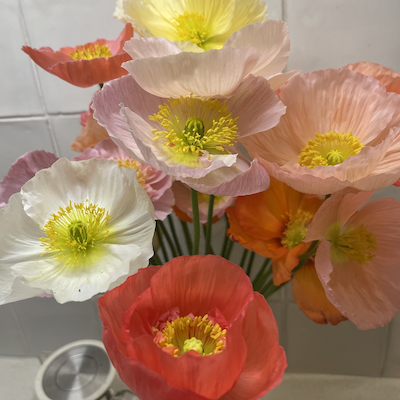 In The Garden: April