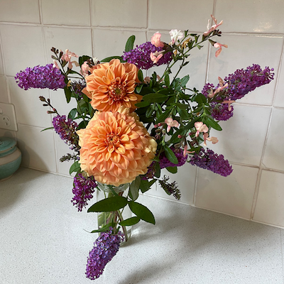 In the garden: February
