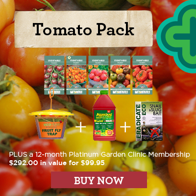 Tomato Pack