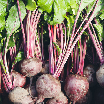 Beetroot Bonanza