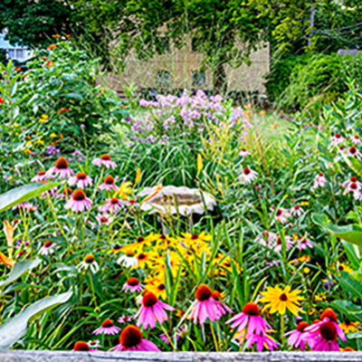 How to build a water feature in a weekend