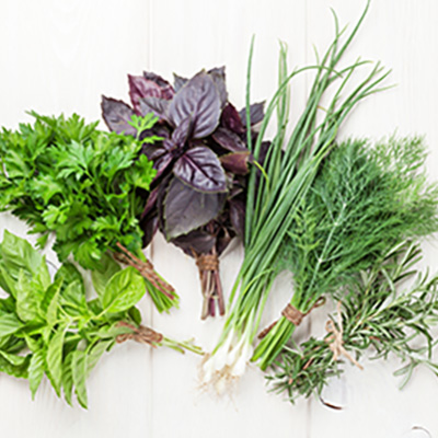 Herb your enthusiasm