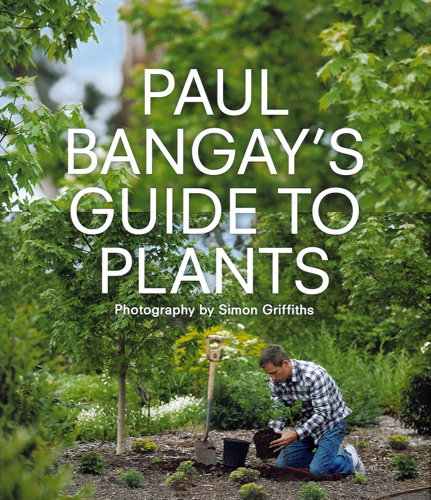 Book review: Paul Bangay's Guide to Plants