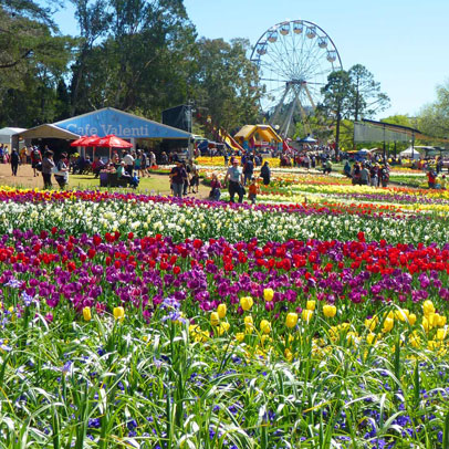 Garden Festival Planner: Floriade