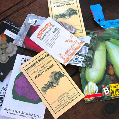 How to: growing vegetables from seed