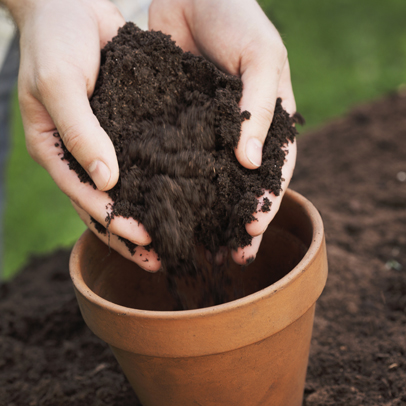How to: Make Potting Mix