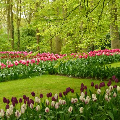 Garden Festival Planner: Floriade Holland