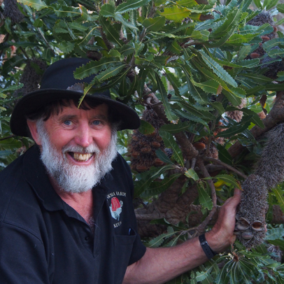 Meet Kevin Collins, banksia collector