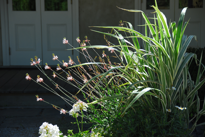 Autumn in Michael's Garden