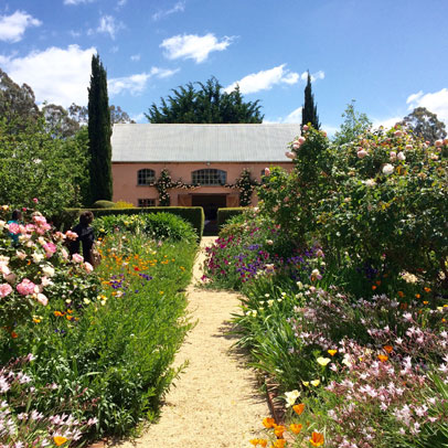 La Vie En Rose