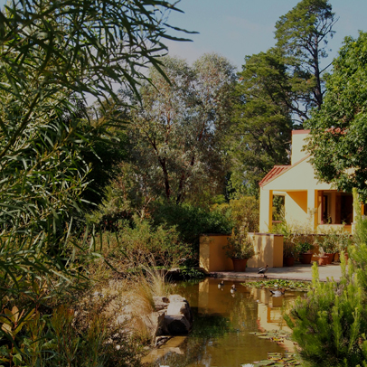 In the garden with Ben and Ros Walcott