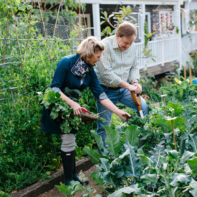 Kitchen Gardens: Temperate