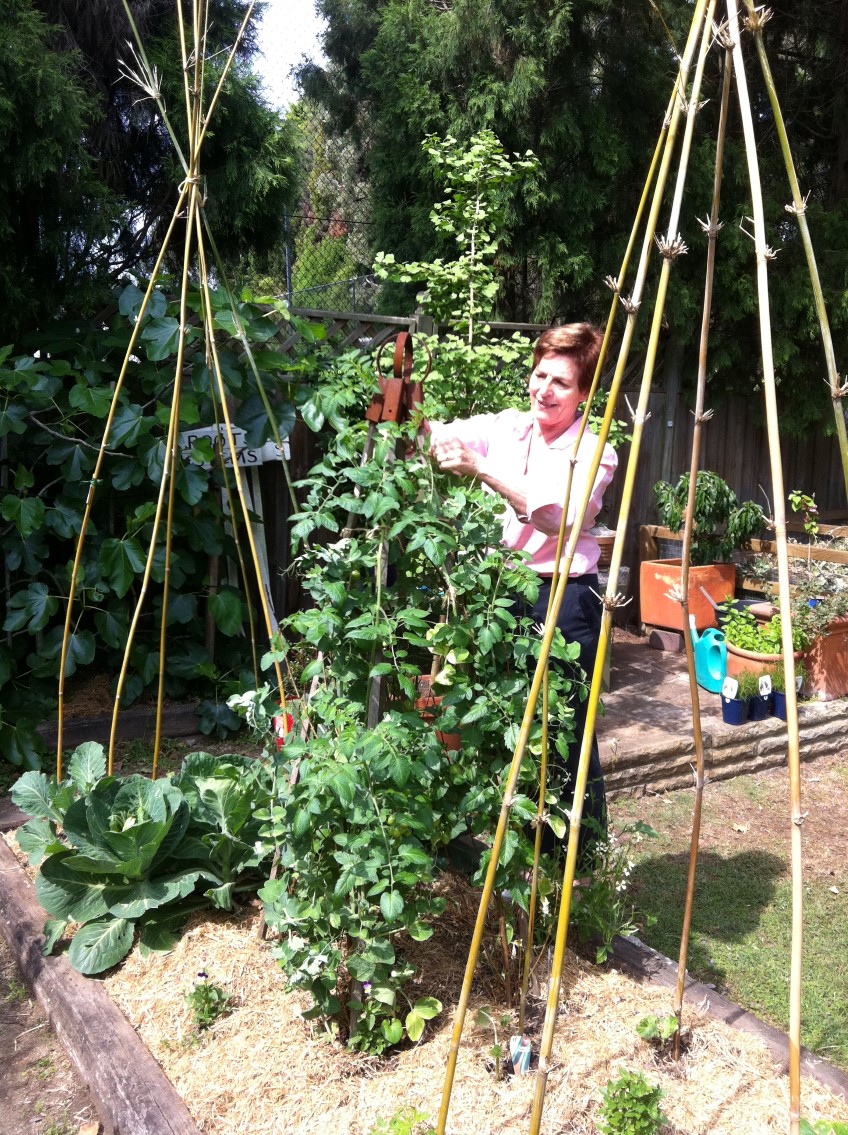 How to: make a summer vegetable tepee