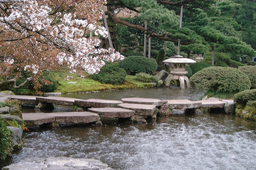 The Garden Clinic, Japanese Landscape Design Ideas