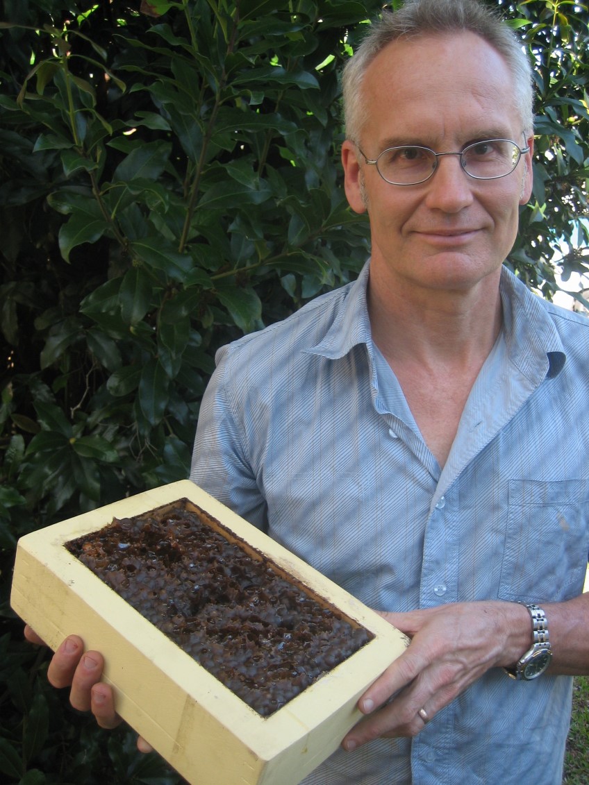 Meet: Tim Heard, native bee expert