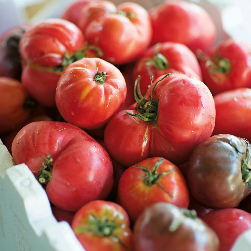 How to: make tomato ketchup