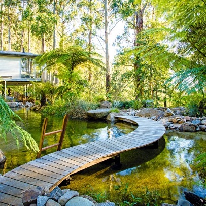 Philip Johnson's Garden, Olinda