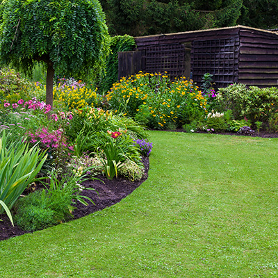 Grow a lawn you'll love