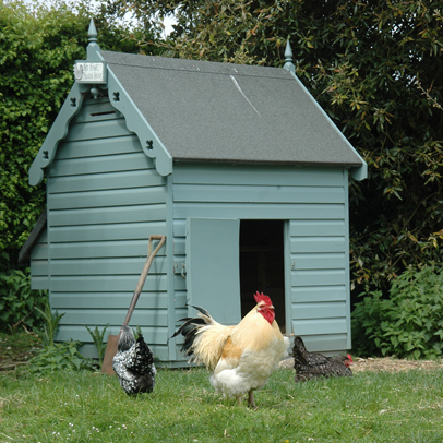 How to: set up a hen house