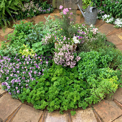 Kitchen Garden: Summer Herbs