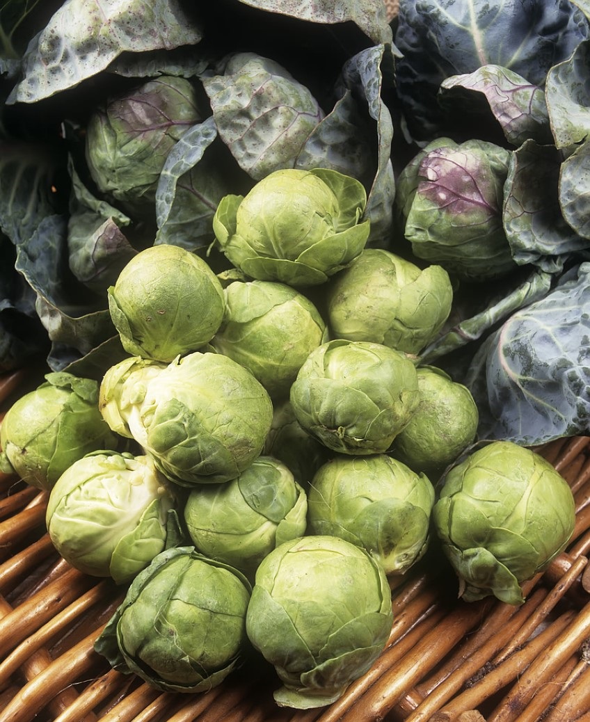 Brussels Sprouts